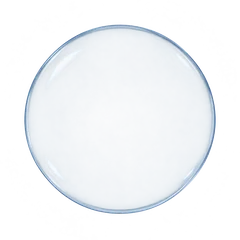 refrear 睿視能 矽水膠透明日拋10片裝 鏡片